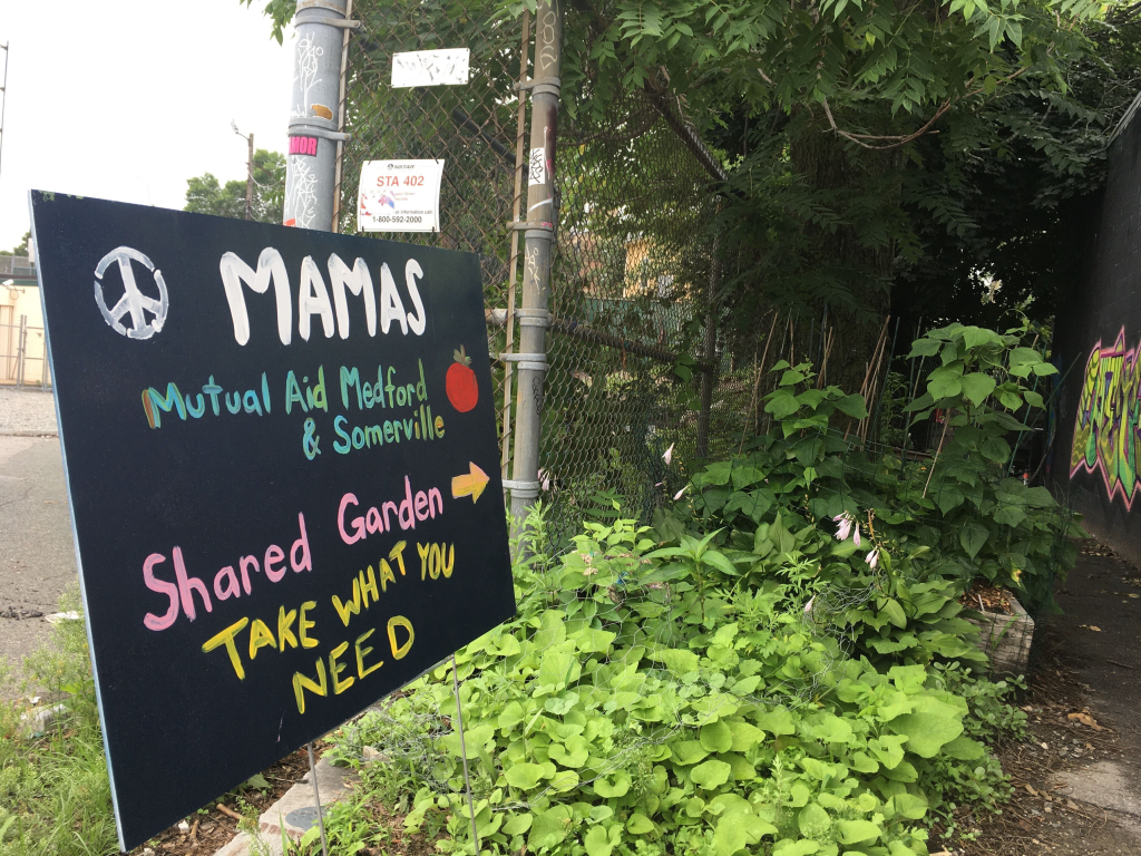 35 Prospect Street, Somerville, MA